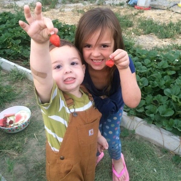 kids with strawberries