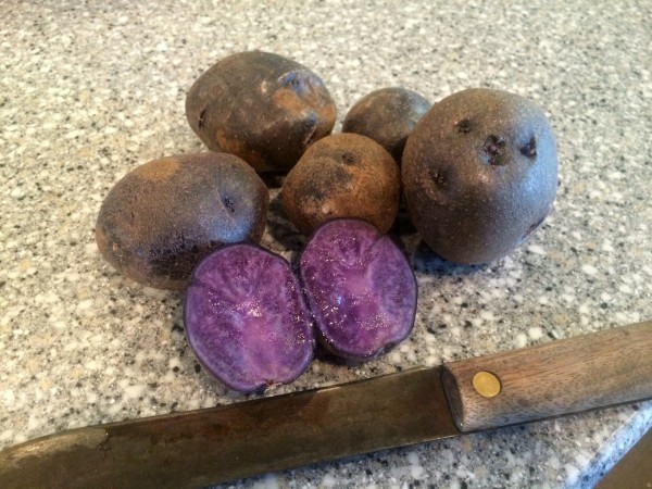 purple potatoes