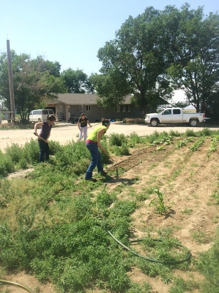 weeding the garden 01