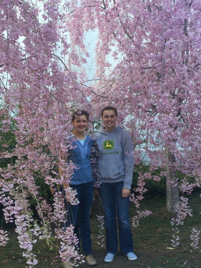 Deb and Abby by blossoming trees