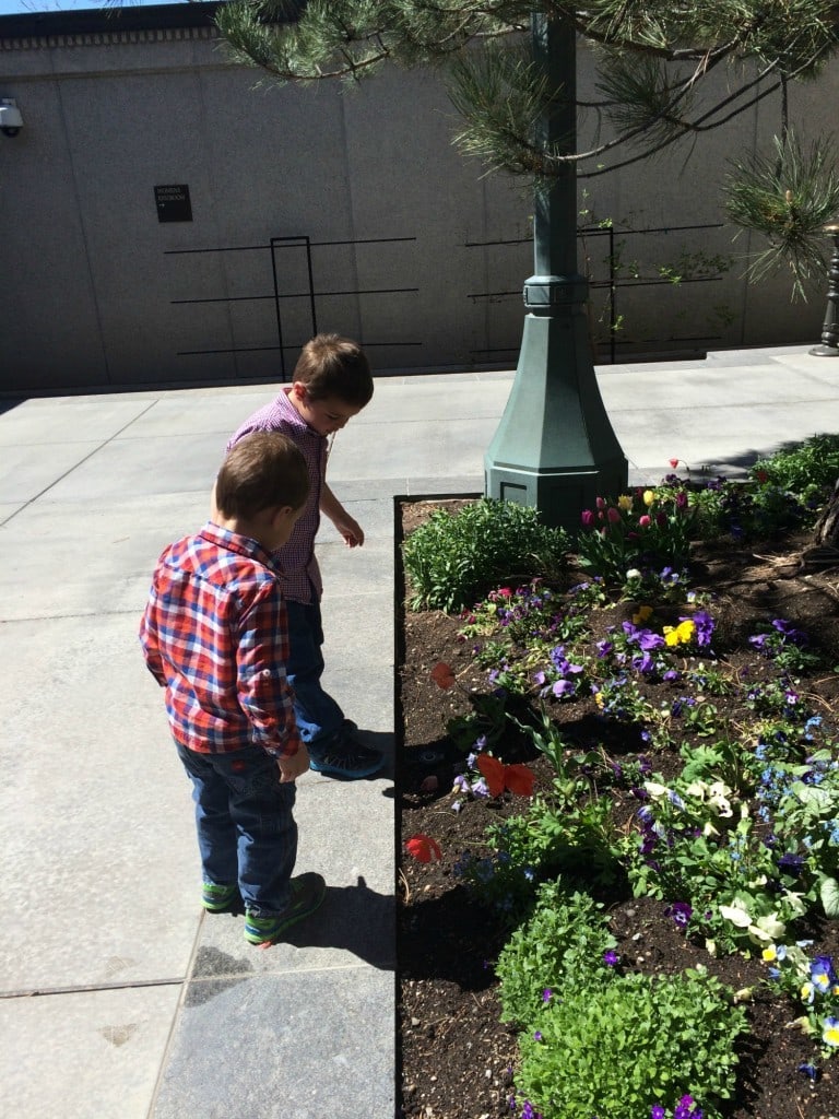 looking at flowers