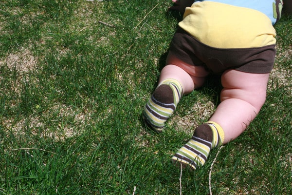 chubby baby legs