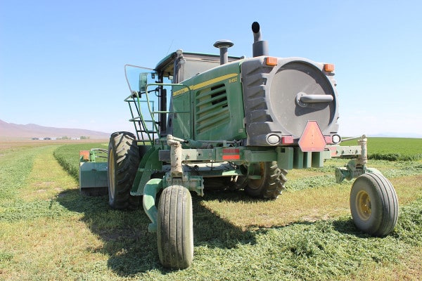 Swather reay to cut
