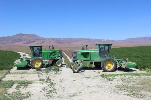 swathers ready to cut