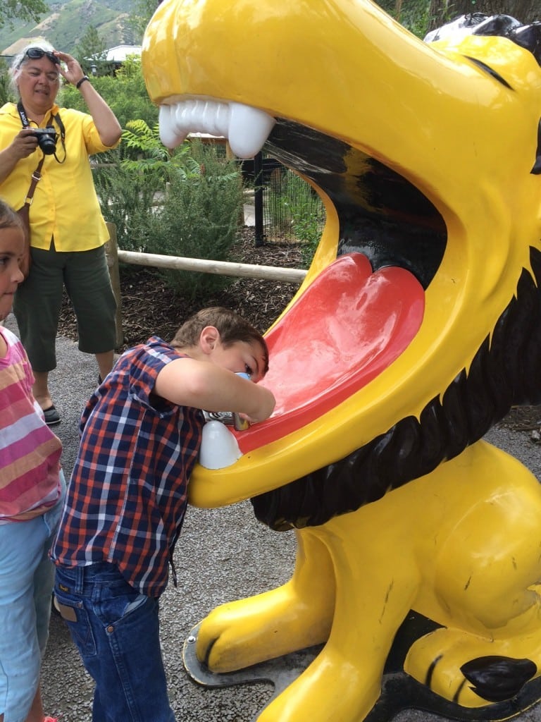 Hogle Zoo lion drinking fountain 2016