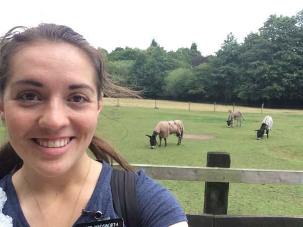 7_25_2016 Marie visiting the donkeys