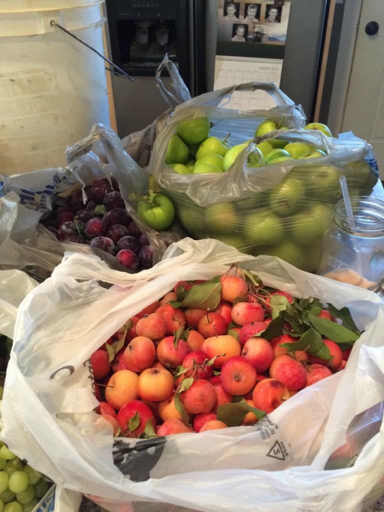 plums, crab apples, apples