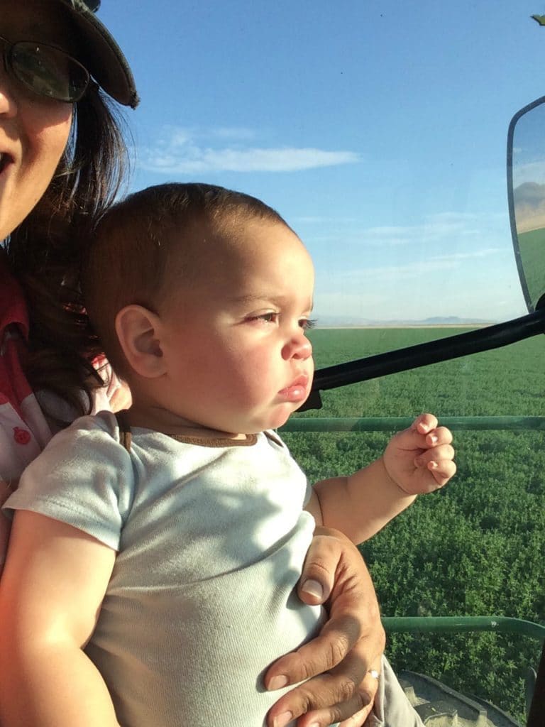 riding in the swather