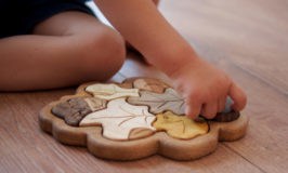 handmade wooden leaf puzzle